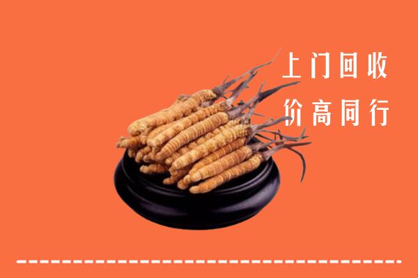 高价求购：安庆市宜秀区回收散虫草