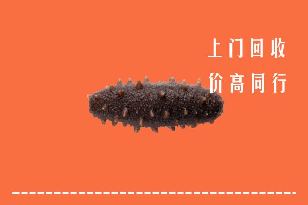 高价求购：安庆市宜秀区回收海参