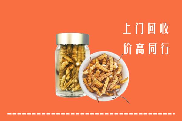 安庆市宜秀区回收冬虫夏草