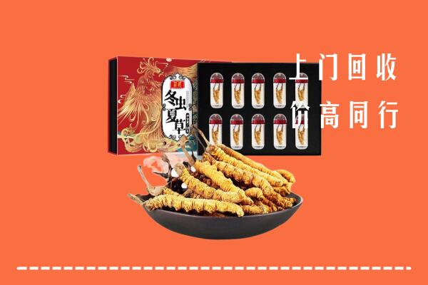 安庆市宜秀区回收虫草